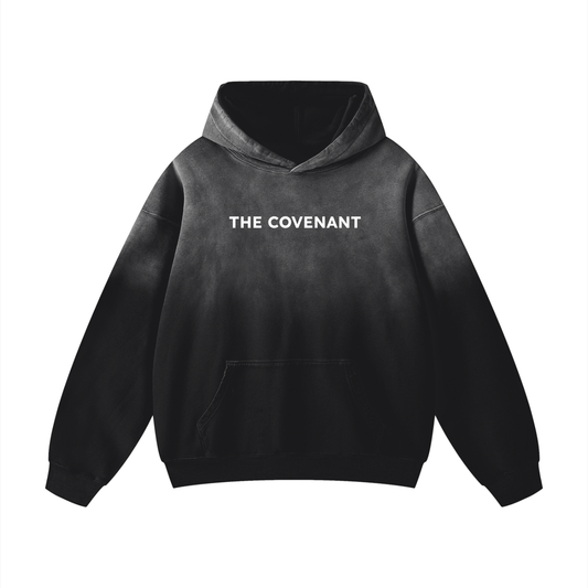 Oversized Sunfade Hoodie | Isaiah 40:31
